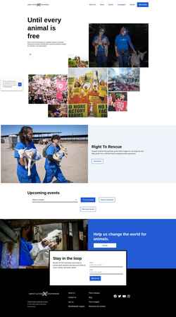 Captura de pantalla www.directactioneverywhere.com