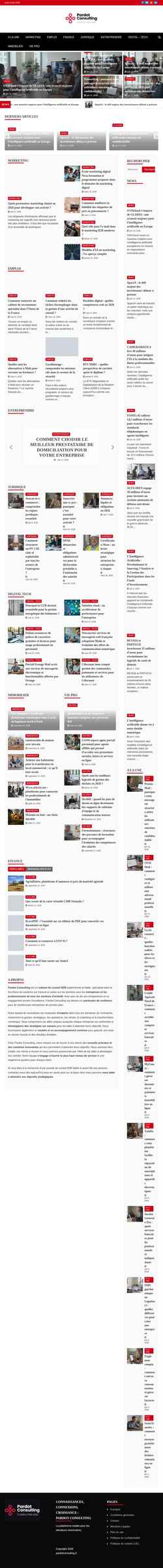 Screenshot pardotconsulting.fr