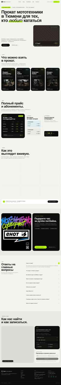 Skjermdump enot-tmn.ru