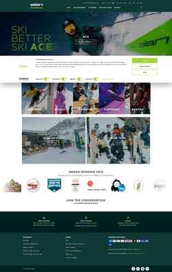 Zrzut ekranu elansports.com