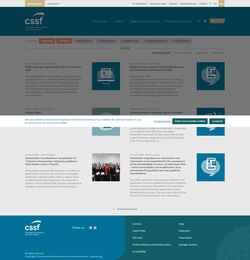 Στιγμιότυπο οθόνης www.cssf.lu
