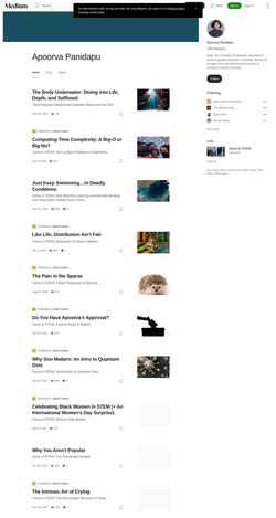 Скриншот apoorvapanidapu.medium.com