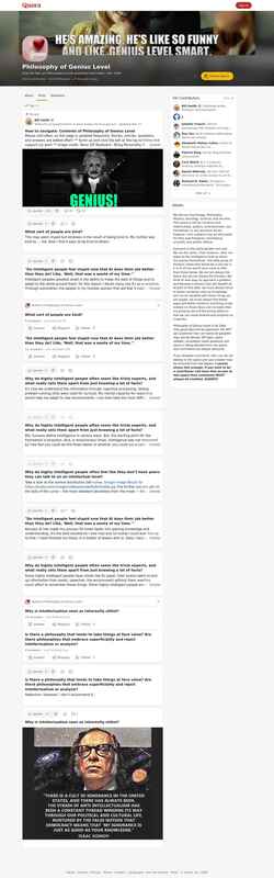 Captură de ecran geniuslevel.quora.com