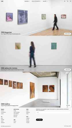 Snímek obrazovky www.contemporaryartissue.com