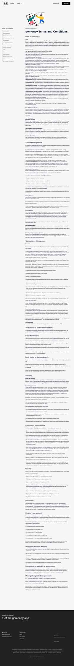 Captura de tela terms.gomoney.global