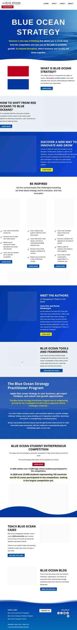 Screenshot www.blueoceanstrategy.com