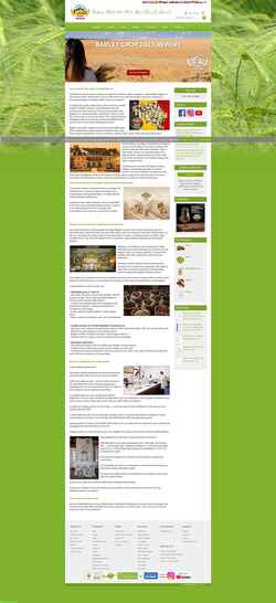 Screenshot www.castlemalting.com