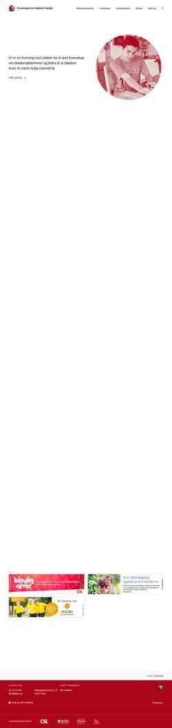 Screenshot fbin.no