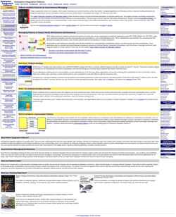 Screenshot www.enterpriseintegrationpatterns.com