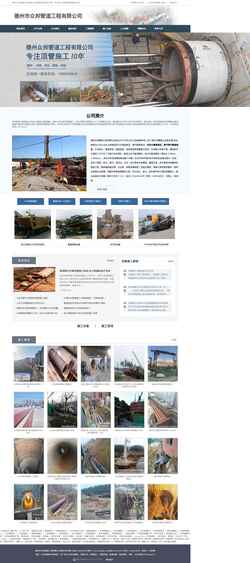 Screenshot www.dzzbgd.com