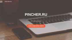 Captura de pantalla pincher.ru