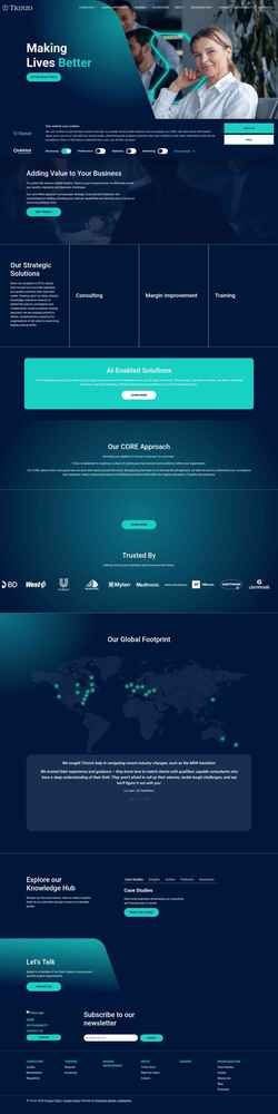 Screenshot www.trinzo.com