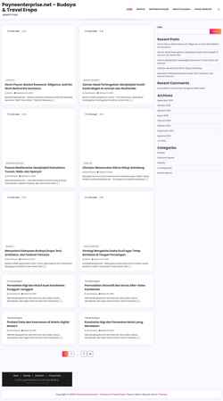 Screenshot payneenterprise.net