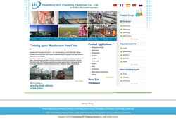 Screenshot www.irochelating.com