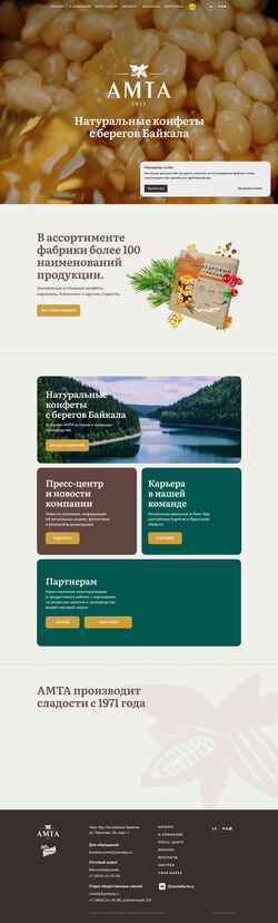 Screenshot amta.ru