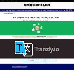 Screenshot www.renaudexpertise.com