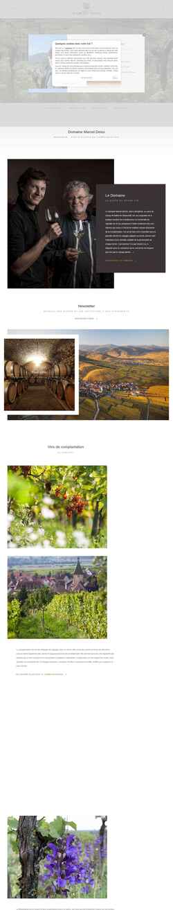 Screenshot www.marceldeiss.com
