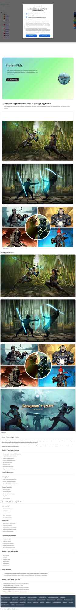Screenshot www.shadowfight.net