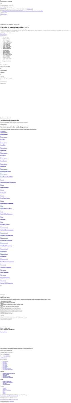 Screenshot bhartibrass.com