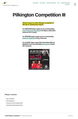 Captura de pantalla pilkguns.com