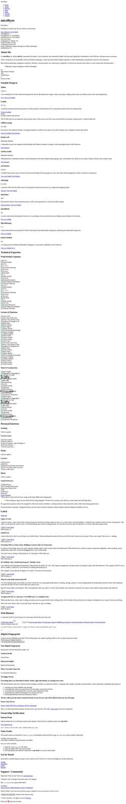 Screenshot micr0.dev