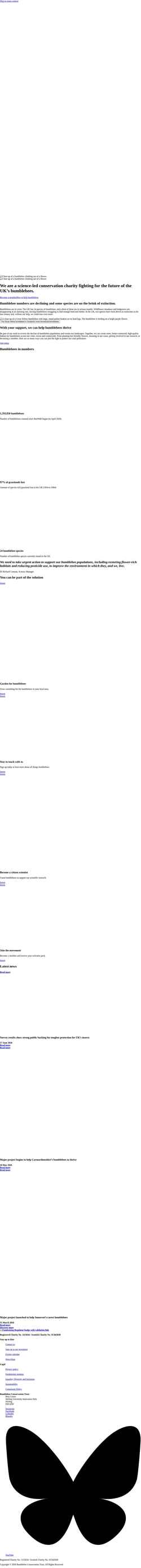 Screenshot www.bumblebeeconservation.org