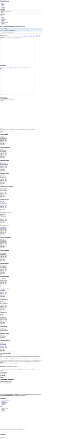 Screenshot vikingbus.com