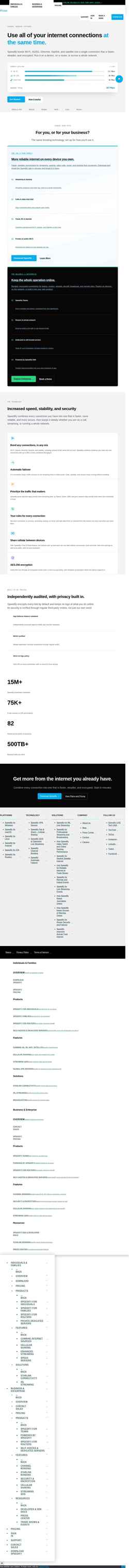 Екранна снимка speedify.com