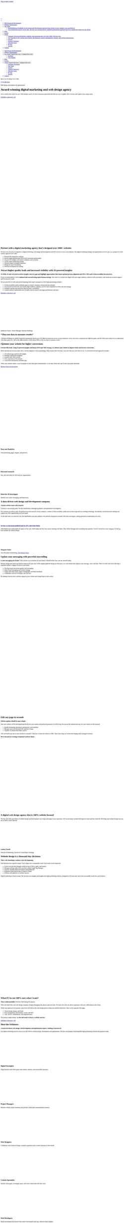 Screenshot www.orbitmedia.com