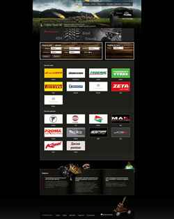 Screenshot tireking.ru