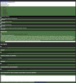 Screenshot www.grncons.com
