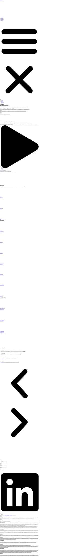 Screenshot vensica.com
