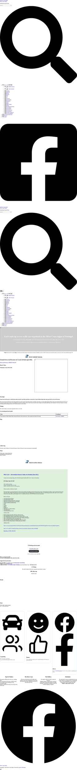 Screenshot silvercoastwalks.com