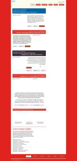 Screenshot www.fiestaredrecords.com