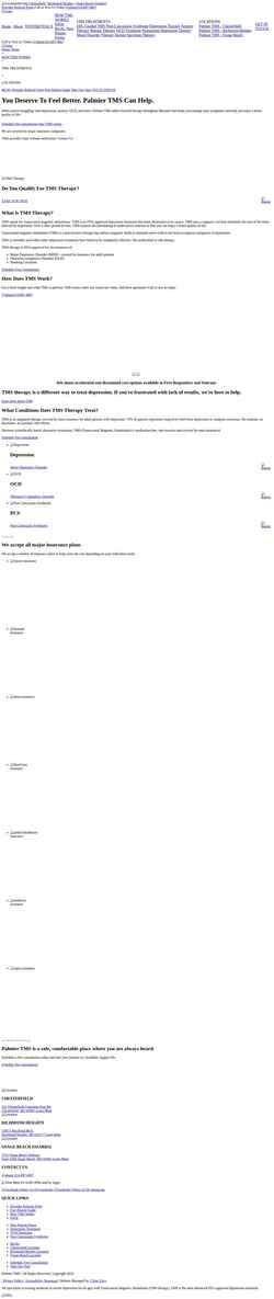 Screenshot palmiertms.com