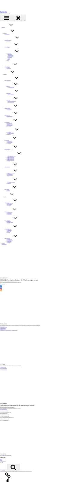 Screenshot captainsim.net