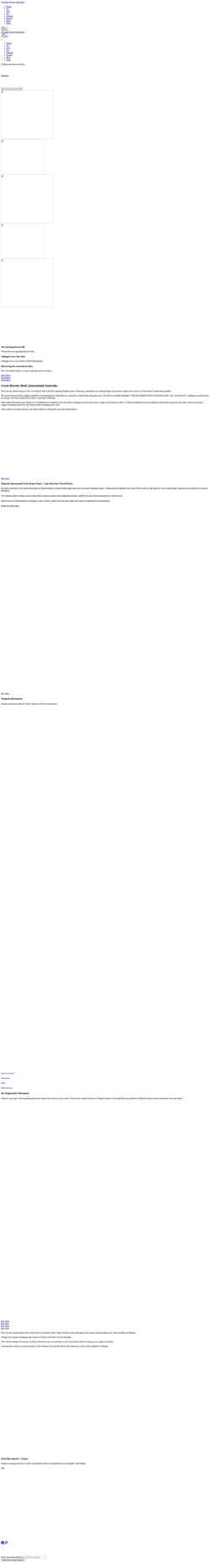 Screenshot cairnstravelguide.com