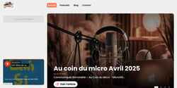 Screenshot microsillons.fr