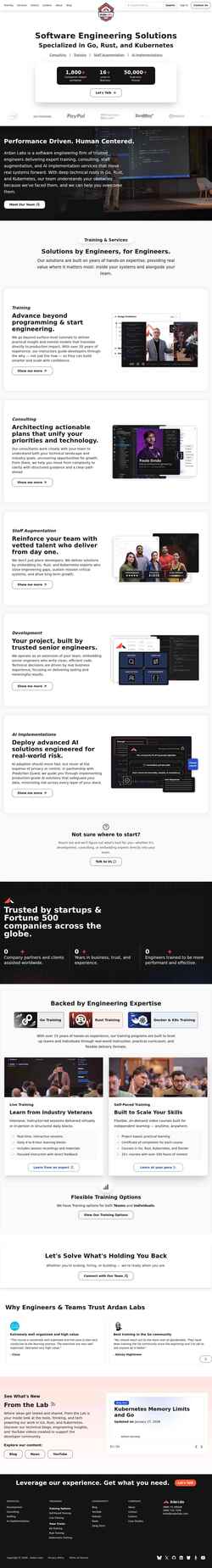 Captură de ecran www.ardanlabs.com