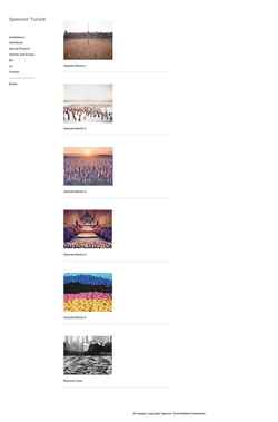 Schermata spencertunick.com