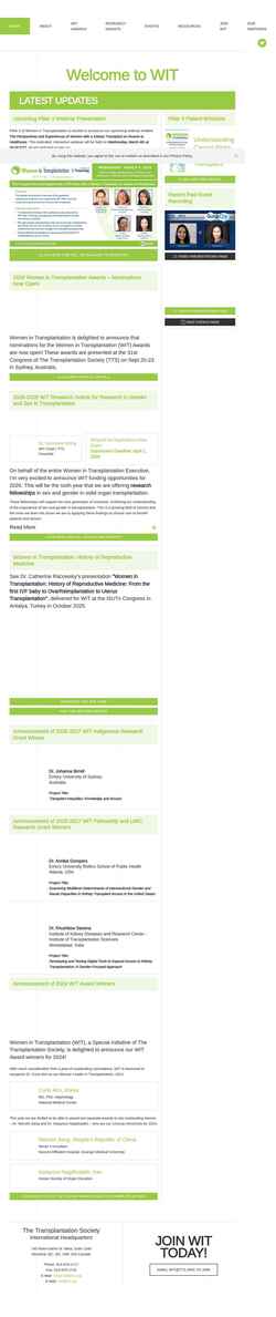 Screenshot www.tts-wit.org