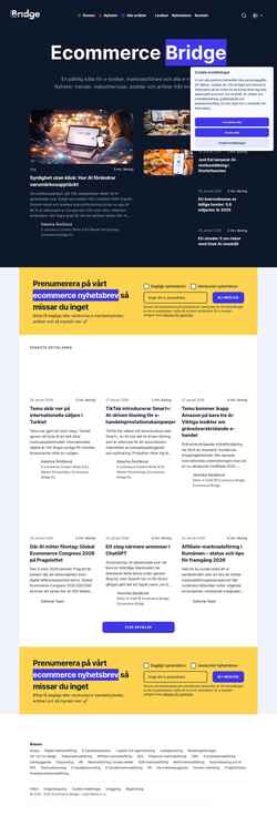 Screenshot www.ecommercebridge.se