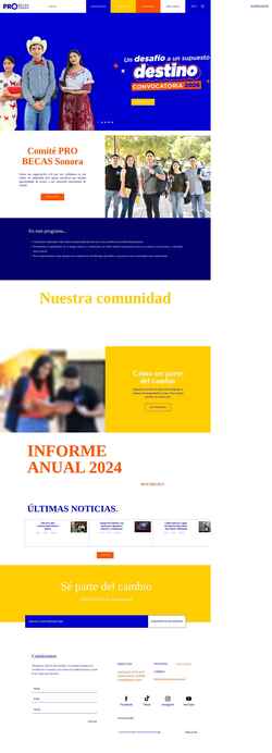 Screenshot www.comiteprobecassonora.org