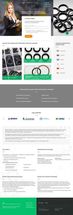 Snímek obrazovky www.binrti.ru