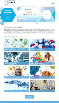 Screenshot connectchemicals.com