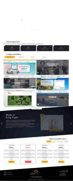 Screenshot kingsight.com.ua