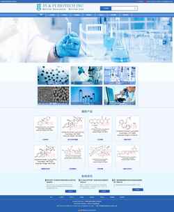 Captura de pantalla www.paypaytech.com
