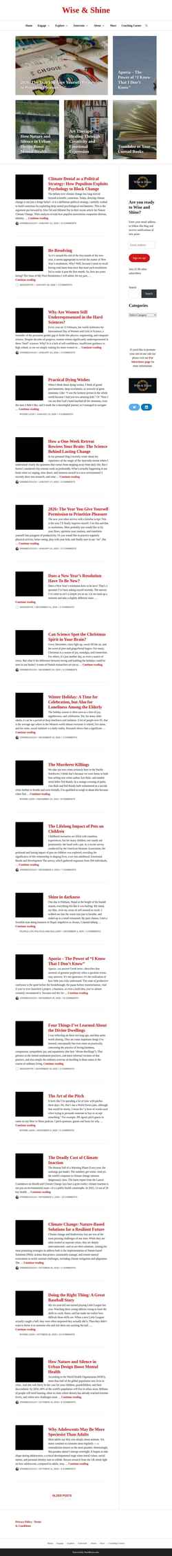 Screenshot wiseandshinezine.com