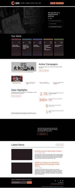 Schermafbeelding campaignzero.org