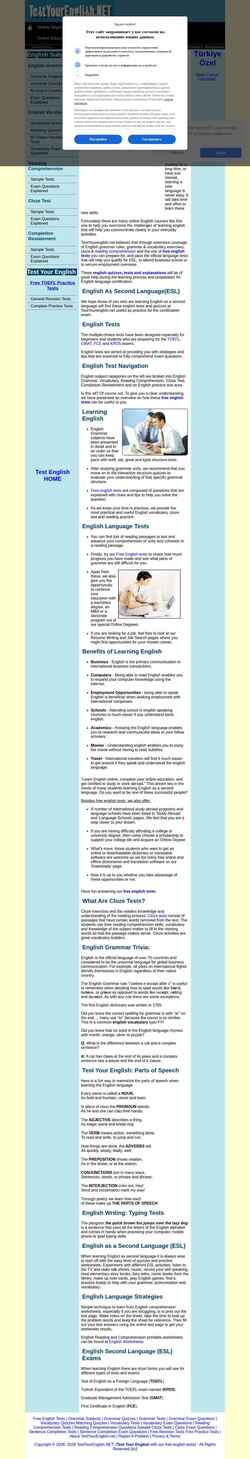 Schermata testyourenglish.net